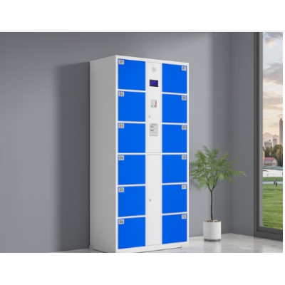 智能儲(chǔ)物柜 12門自編碼柜
